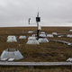 A field sites on the tundra in Utqiaġvik where scientists are studying how temperatures affects vegetation. Photo: Ash Adams/Gizmodo